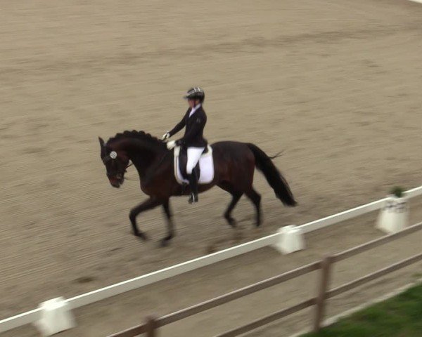 Reitturnier Scharnebeck 2025