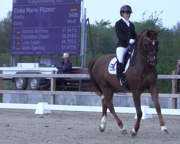 Reitturnier Scharnebeck 2025