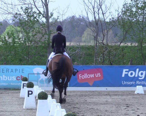 Reitturnier Scharnebeck 2025