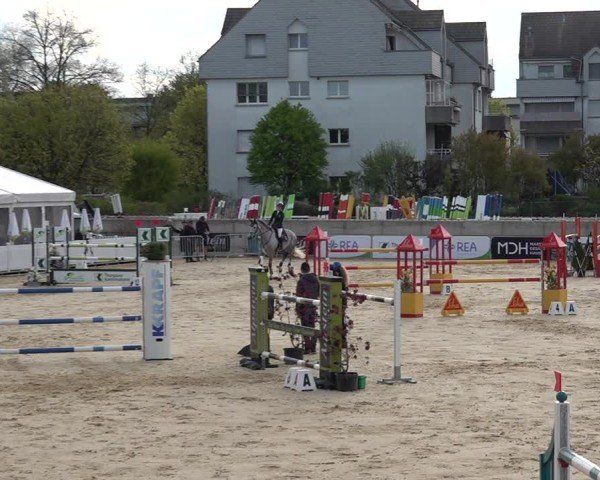 Reitturnier Amriswil 2025