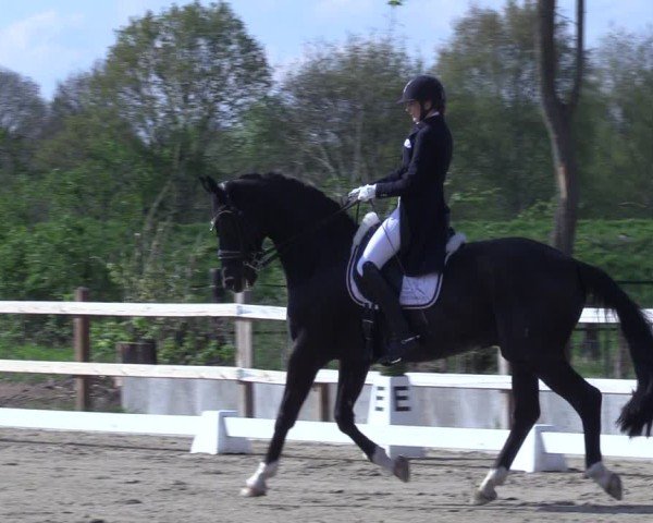Reitturnier Scharnebeck 2025