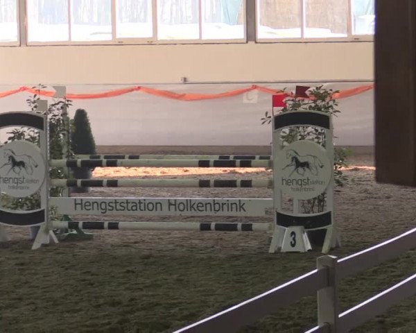 Hallenspringturnier Münster - Albachten 2014