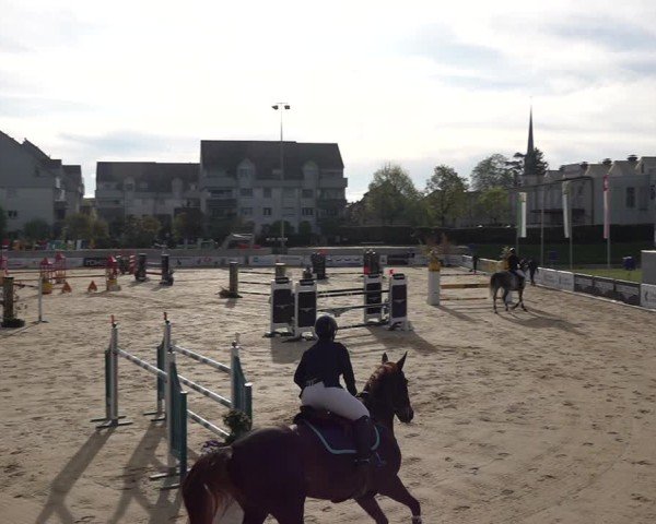 Reitturnier Amriswil 2025
