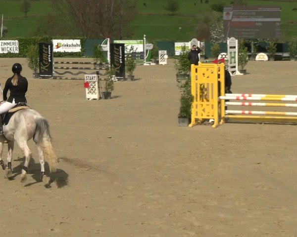 Reitturnier Lindlar-Süttenbach 2025