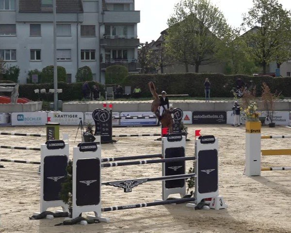 Reitturnier Amriswil 2025