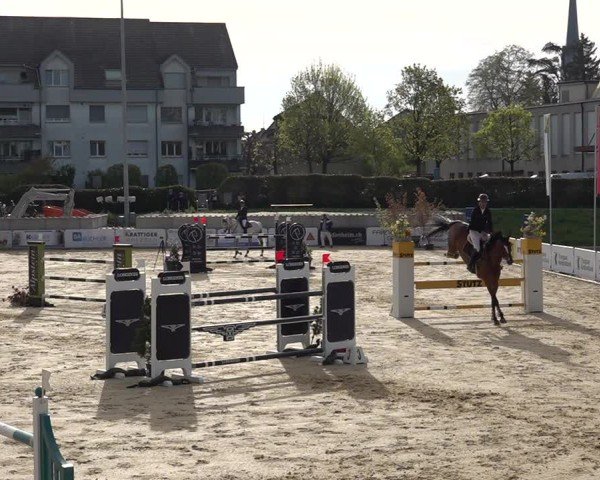 Reitturnier Amriswil 2025