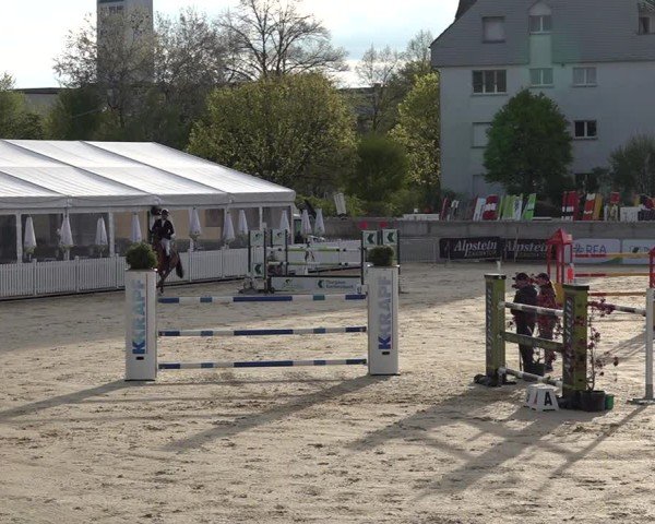 Reitturnier Amriswil 2025