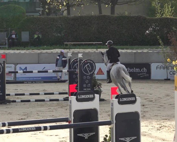 Reitturnier Amriswil 2025