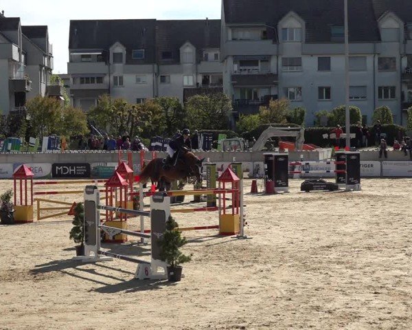Reitturnier Amriswil 2025