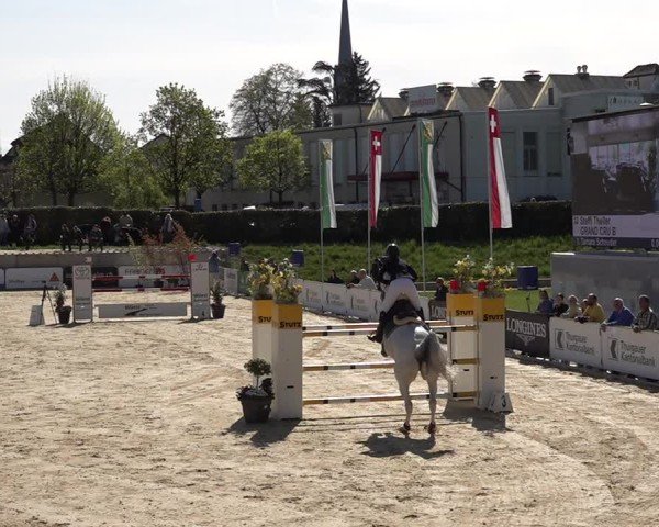 Reitturnier Amriswil 2025
