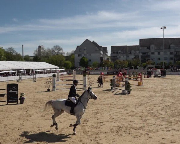 Reitturnier Amriswil 2025