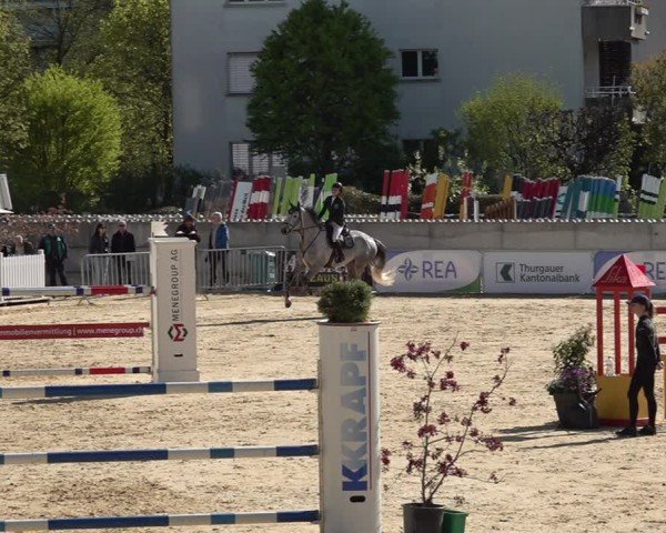 Reitturnier Amriswil 2025