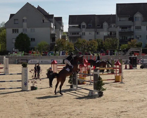 Reitturnier Amriswil 2025