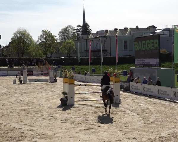 Reitturnier Amriswil 2025