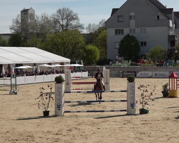 Reitturnier Amriswil 2025