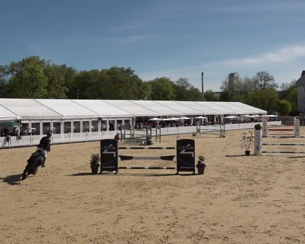 Reitturnier Amriswil 2025