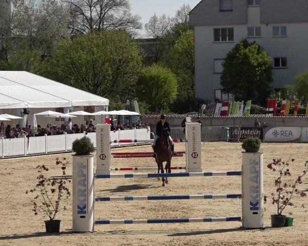 Reitturnier Amriswil 2025