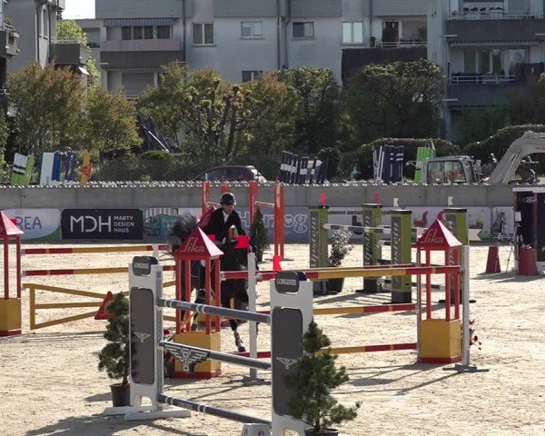 Reitturnier Amriswil 2025