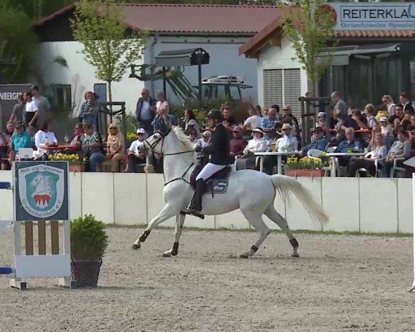 Reitturnier Grafenrheinfeld/Ufr. 2025