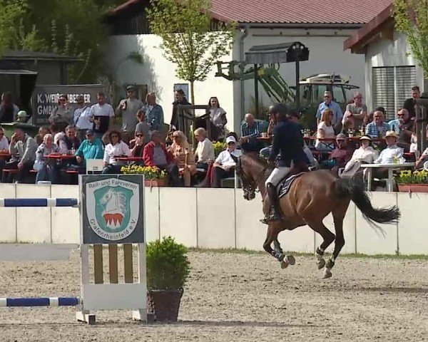Reitturnier Grafenrheinfeld/Ufr. 2025