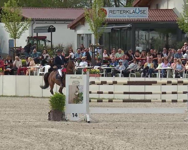 Reitturnier Grafenrheinfeld/Ufr. 2025