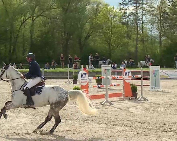 Reitturnier Grafenrheinfeld/Ufr. 2025