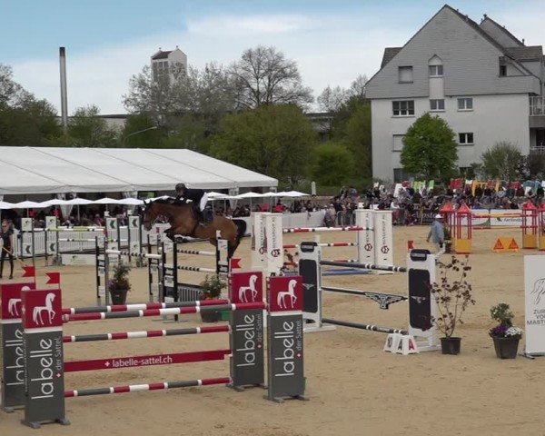 Reitturnier Amriswil 2025