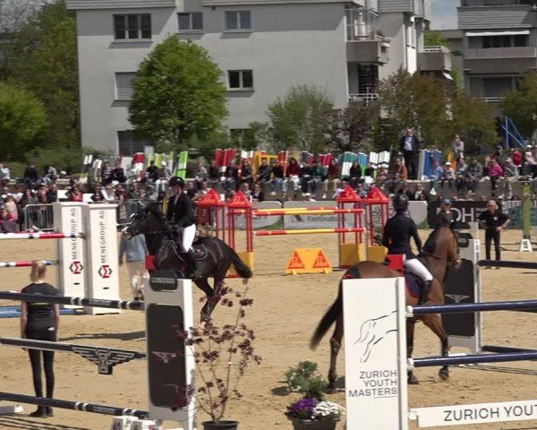 Reitturnier Amriswil 2025