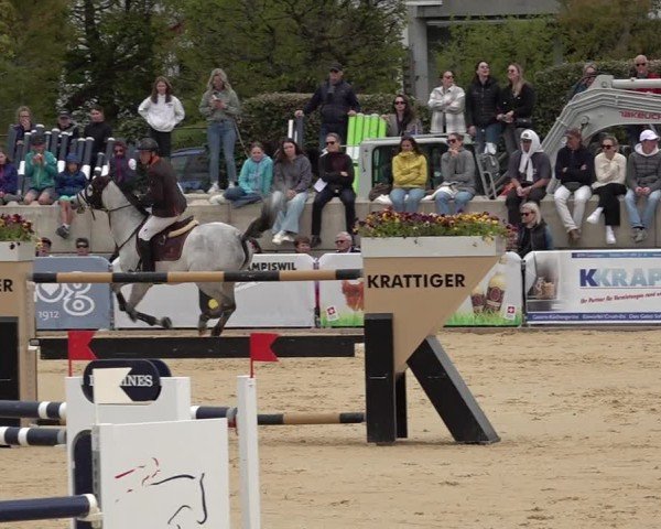 Reitturnier Amriswil 2025