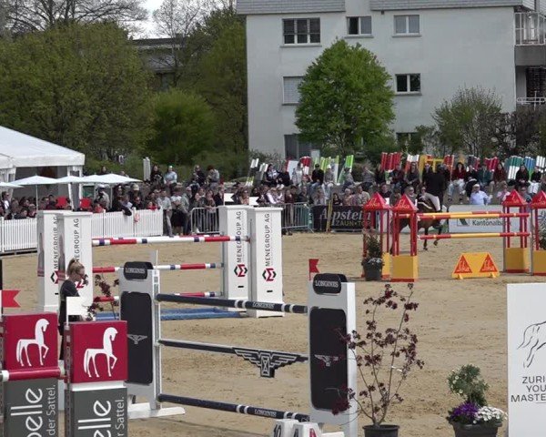 Reitturnier Amriswil 2025