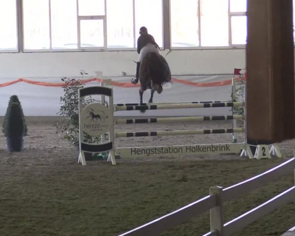 Hallenspringturnier Münster - Albachten 2014