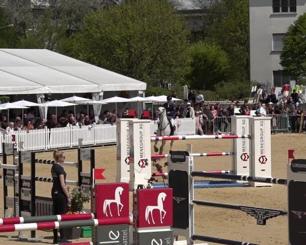 Reitturnier Amriswil 2025