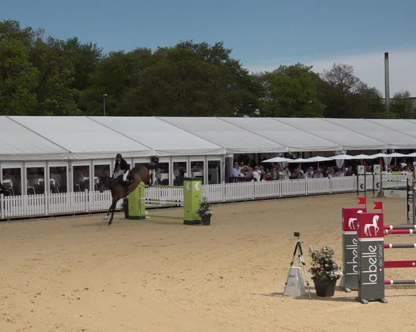 Reitturnier Amriswil 2025