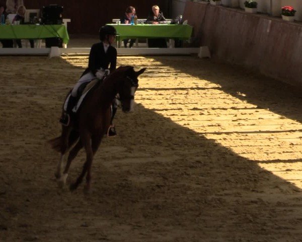 Reitturnier Werne-Lenklar 2025