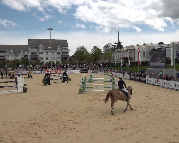 Reitturnier Amriswil 2025