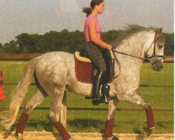 Dressurpferd Ebano 9 (Pura Raza Espanola (PRE), 1996, von Mercenario VIII)