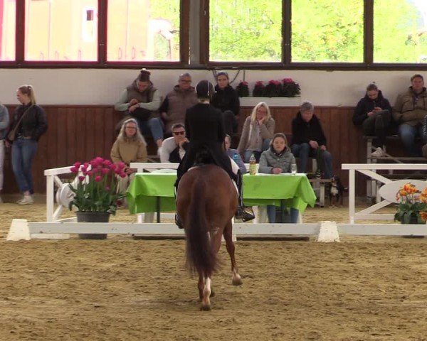 Lenklarer Reitertage Werne 2025