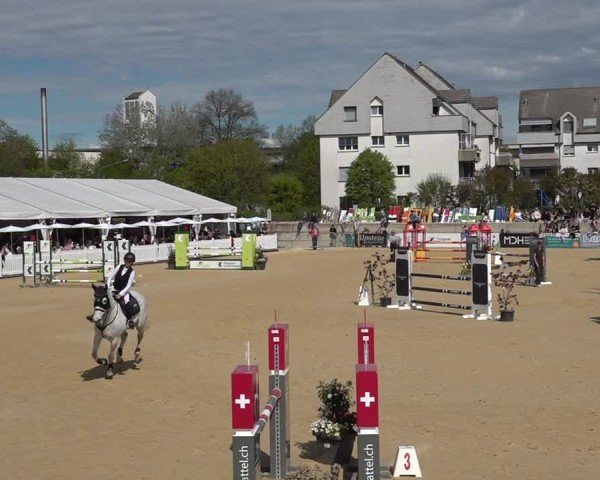 Reitturnier Amriswil 2025