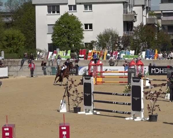 Reitturnier Amriswil 2025
