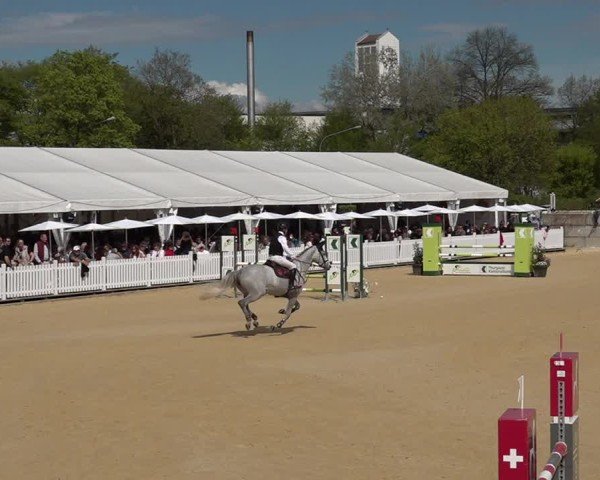 Reitturnier Amriswil 2025