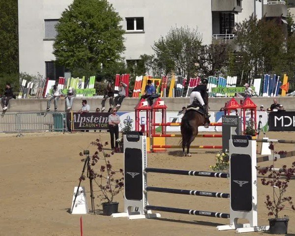 Reitturnier Amriswil 2025