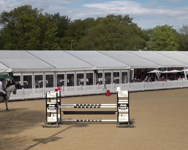 Reitturnier Amriswil 2025