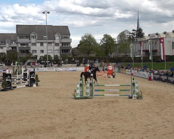 Reitturnier Amriswil 2025