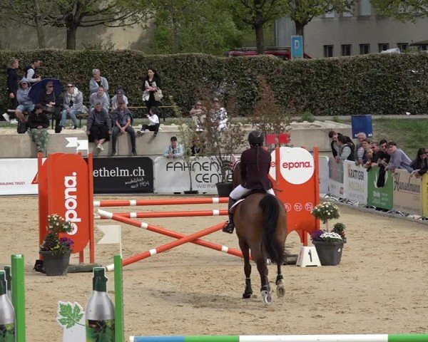 Reitturnier Amriswil 2025