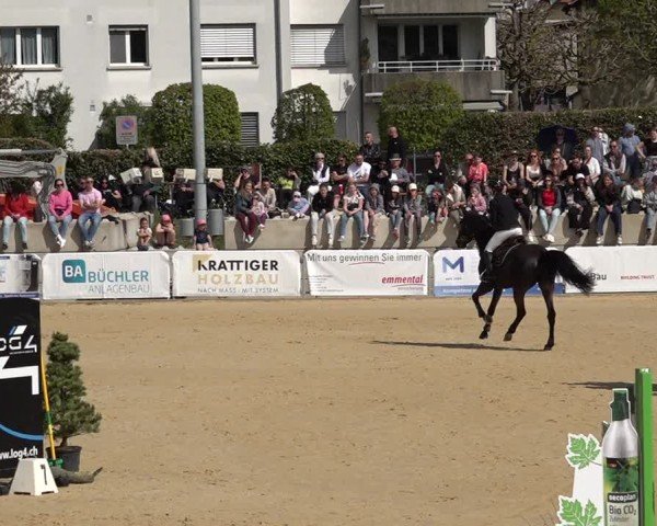 Reitturnier Amriswil 2025