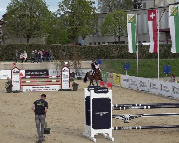 Reitturnier Amriswil 2025