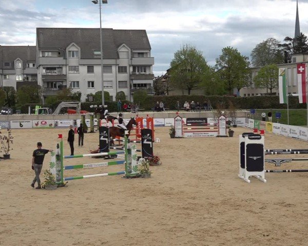 Reitturnier Amriswil 2025