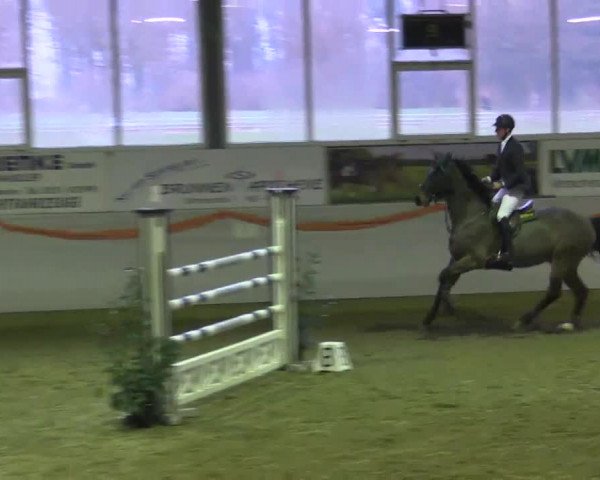 Hallenspringturnier Münster - Albachten 2014