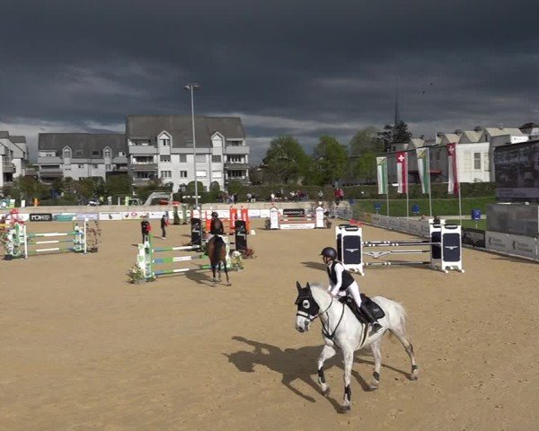 Reitturnier Amriswil 2025