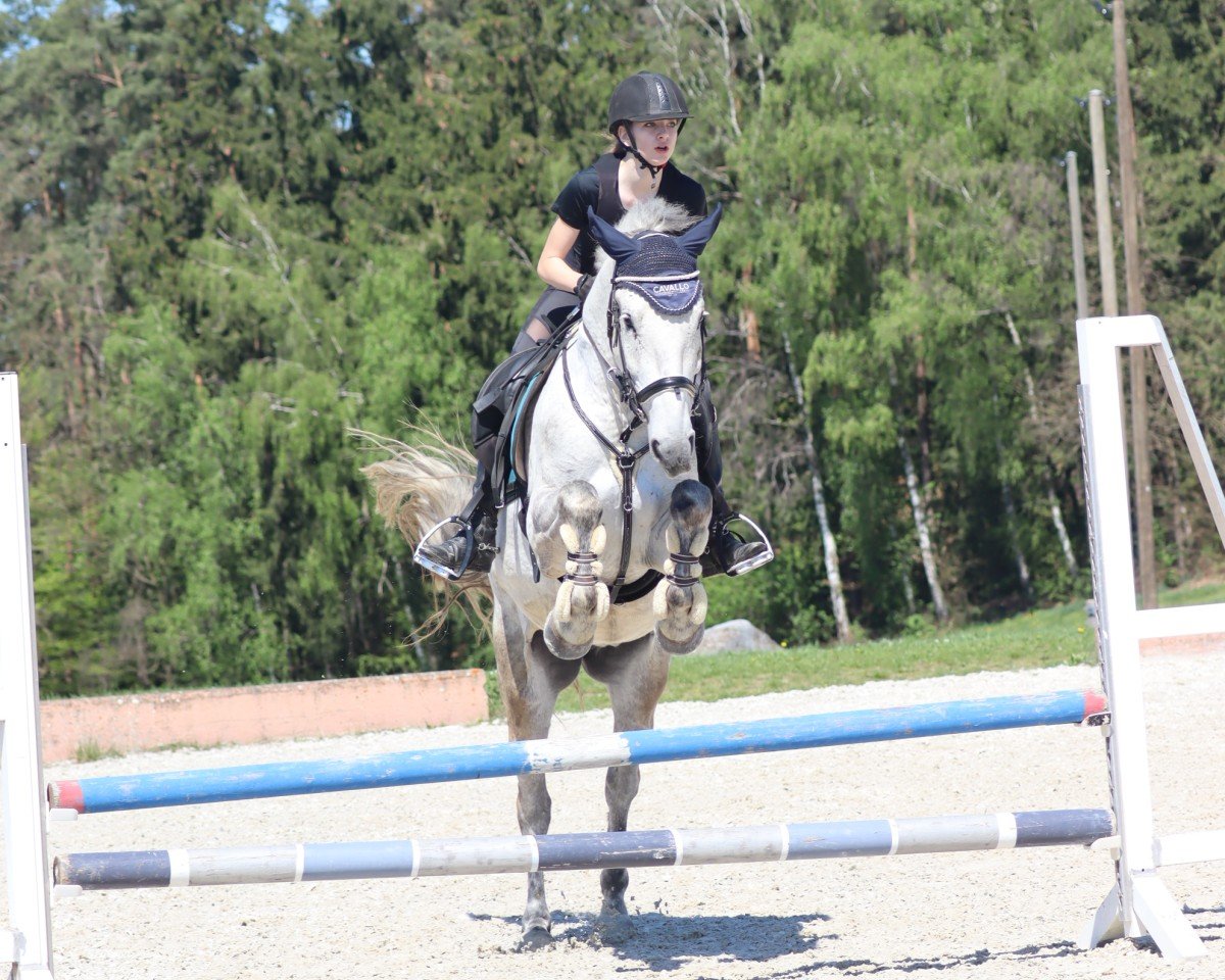 dressage horse Georgina 13 (unknown, 2018)